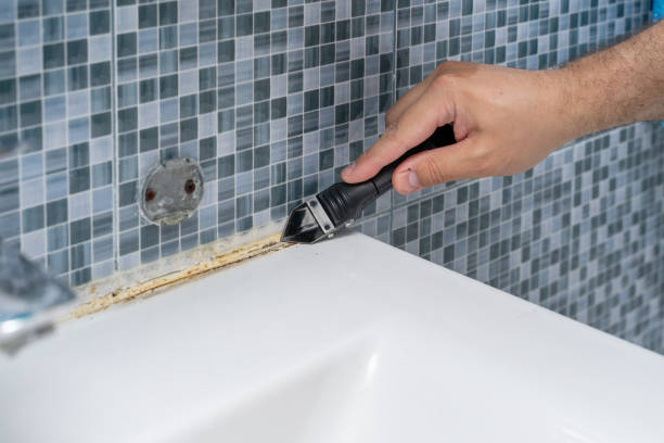 Best Black Mold Remediation in Florence, AL